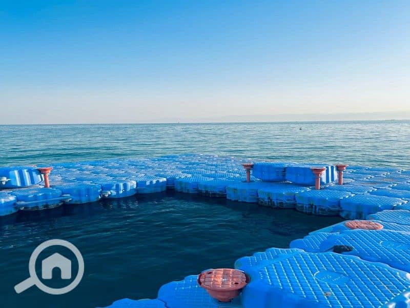 3 WhatsApp Image 2025-03-08 at 12.16. 00 PM. jpeg