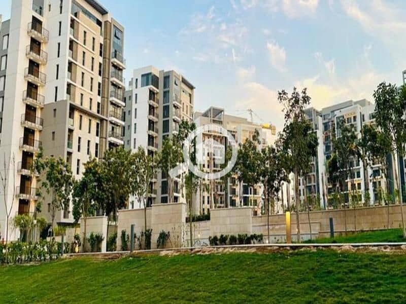 10 474178f2-e407-4630-a7ff-34ac8f01ef29. jpg