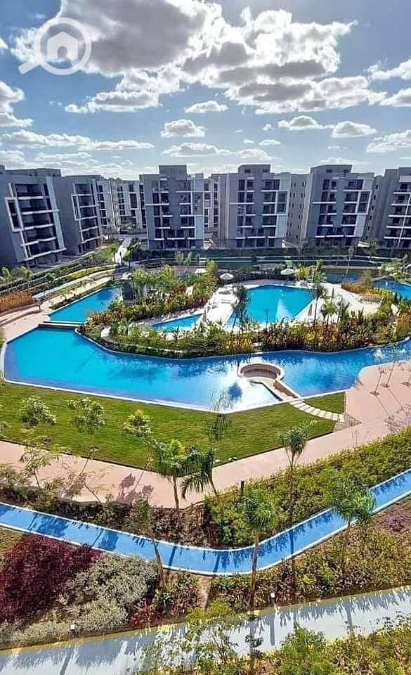 8 437010633_1935901153491476_7573877138040968418_n. jpg