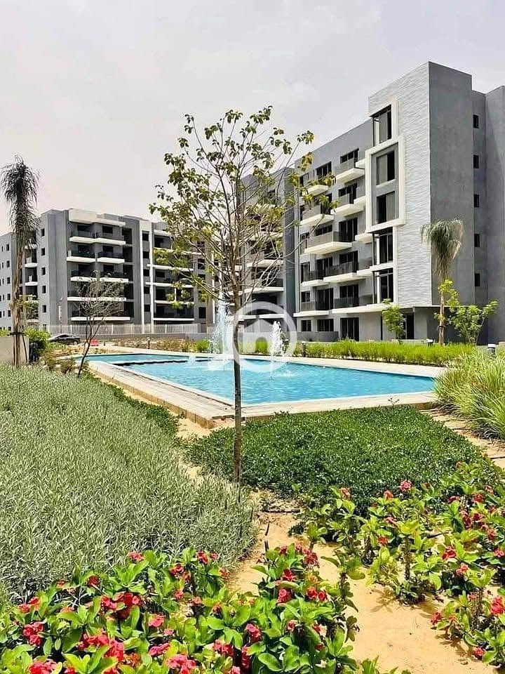 11 505845039_659113827125482_4650128758664565769_n. jpg