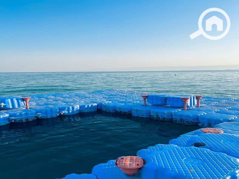 3 WhatsApp Image 2025-03-08 at 12.16. 00 PM. jpeg