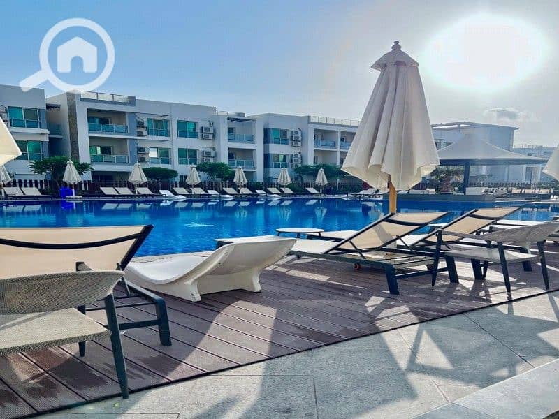 4 WhatsApp Image 2025-03-08 at 12.16. 01 PM. jpeg