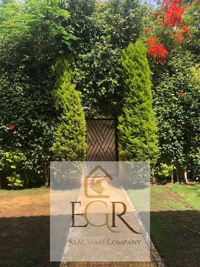 4 Bedroom Townhouse for Rent in New Cairo, Cairo - 567760680_1775729433380783_674356645544821217_n. jpg