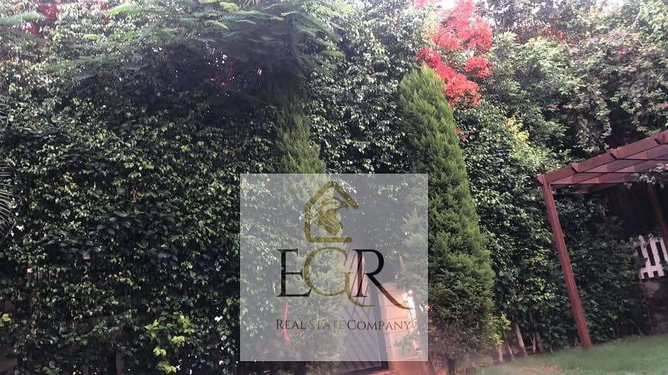 5 573198565_4209882799292263_5699996160456128569_n. jpg