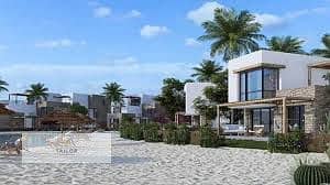 4 download (78). jpg