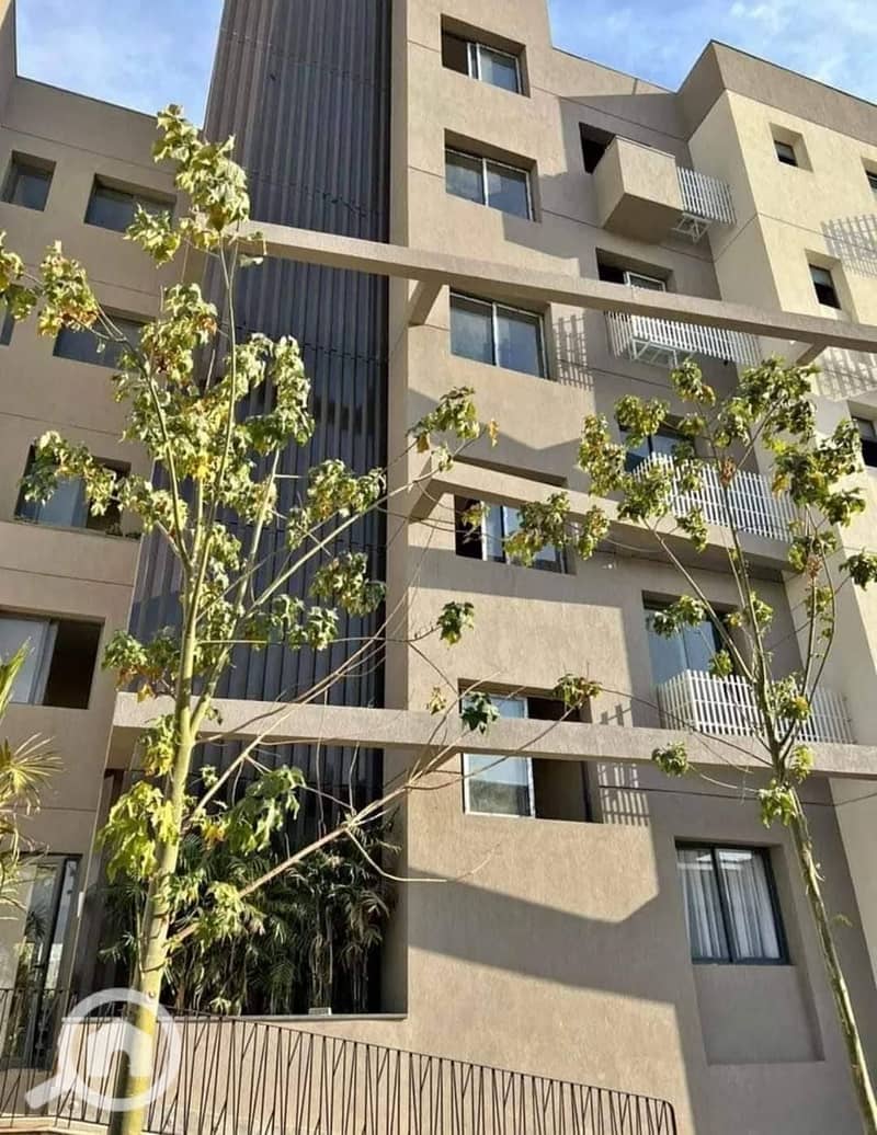 10 528749710_122215540178118616_5452646030431394030_n. jpg