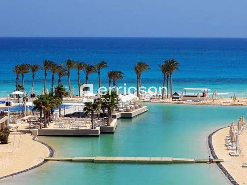 14 Untitled design. jpg