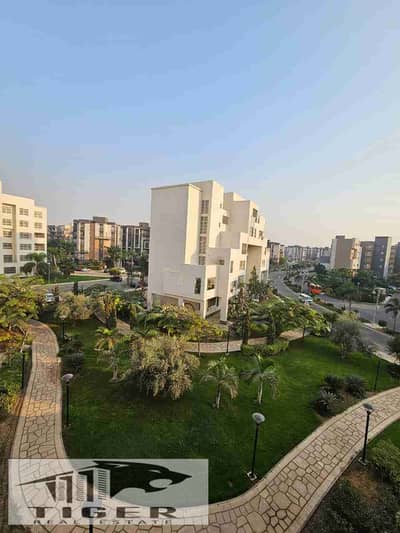 3 Bedroom Flat for Rent in Madinaty, Cairo - 1002895029. jpg