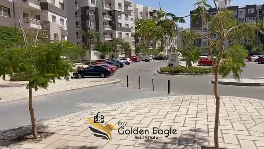 3 571364949_10237649484753125_624788631086976896_n. jpg