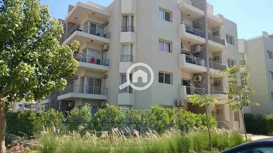 شقة 3 غرف نوم للايجار في الشيخ زايد، الجيزة - WhatsApp Image 2025-10-07 at 4.45. 49 PM (3). jpeg