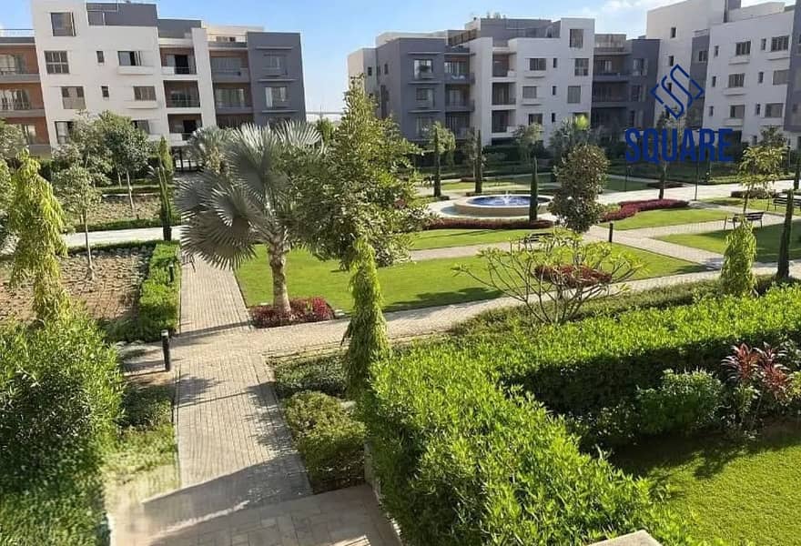 976d1ff5-8dcb-4ae5-b77f-de68d49e5621. jpg