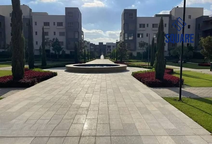 2 19807224-c409-4f0e-a45e-fc26c96b807b. jpg