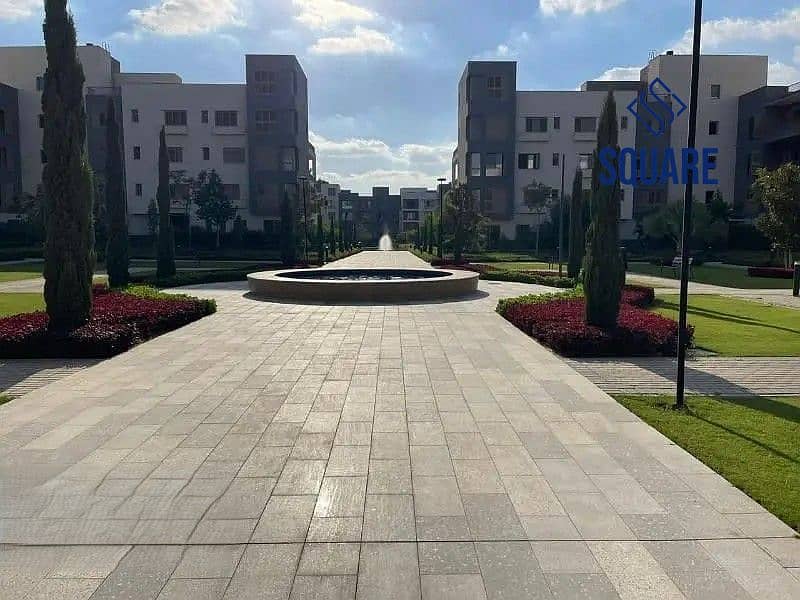 5 26535535-800x600. jpg