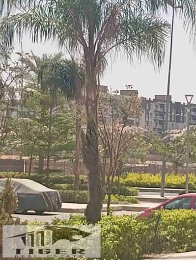 2 Bedroom Flat for Sale in Madinaty, Cairo - 1002801784. jpg 2 Bedroom Flat for Sale in Madinaty, Cairo - 1002801784. jpg