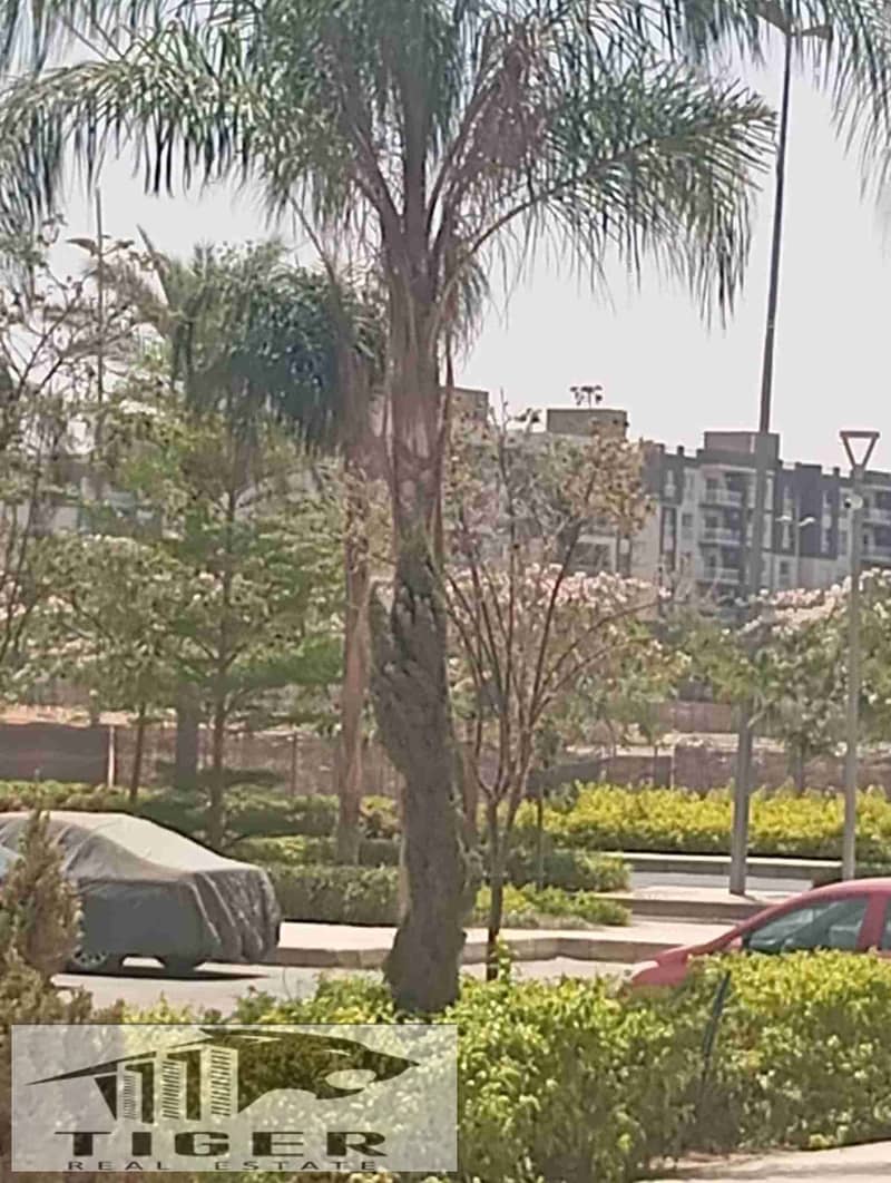 1002801784. jpg 1002801784. jpg