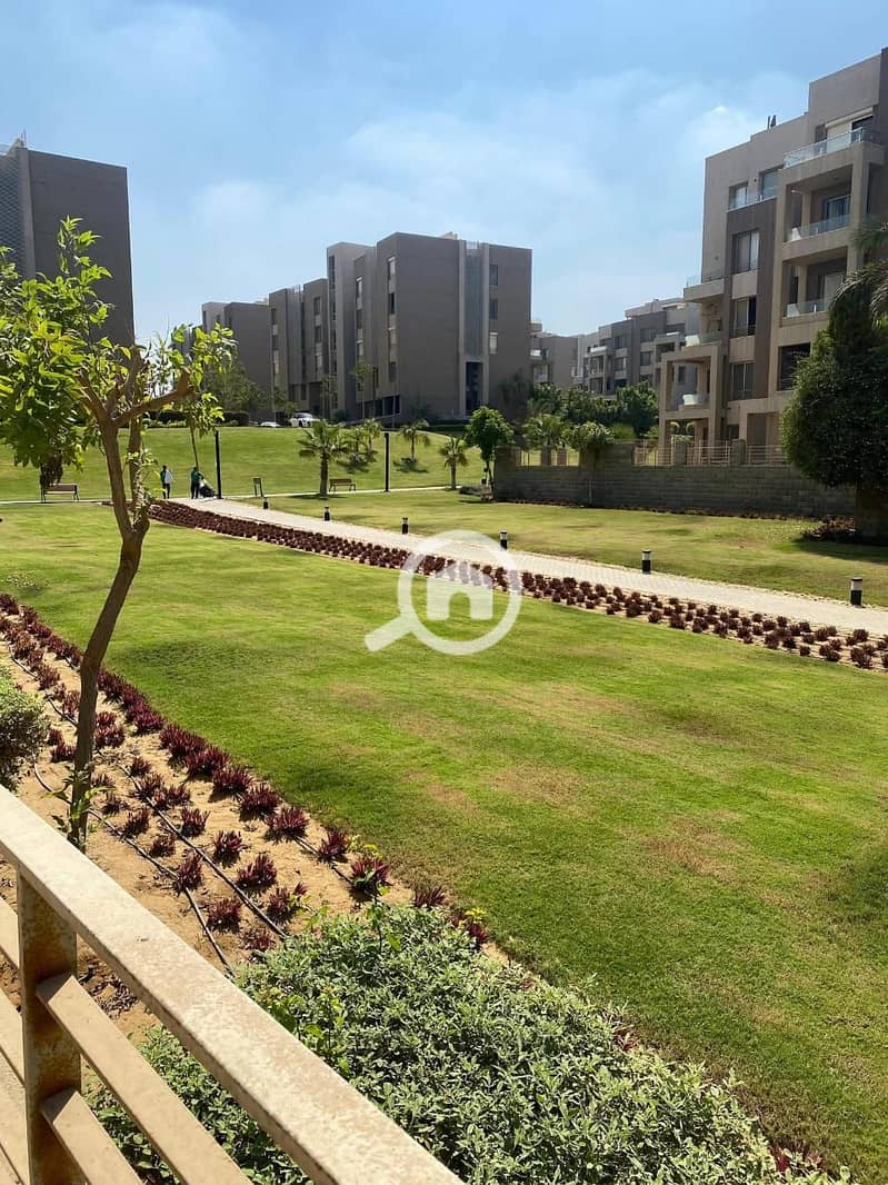 2 0e1c43d9-f8e8-4975-854a-04a005ee020c. jpeg