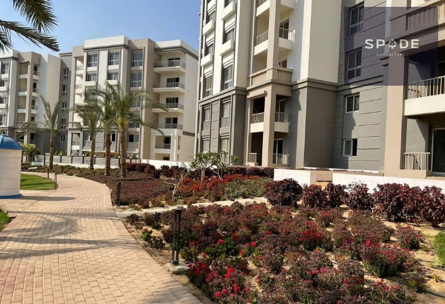 3 befa1bdc-56a5-4289-9f0a-1e6811f75468. jpg