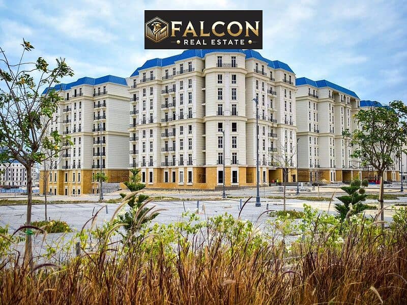 4 WhatsApp Image 2025-08-14 at 4.16. 46 PM (2). jpeg