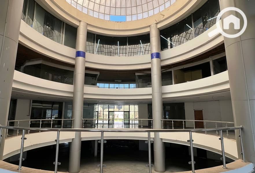 7 Generated Image September 23, 2025 - 2_06PM. png