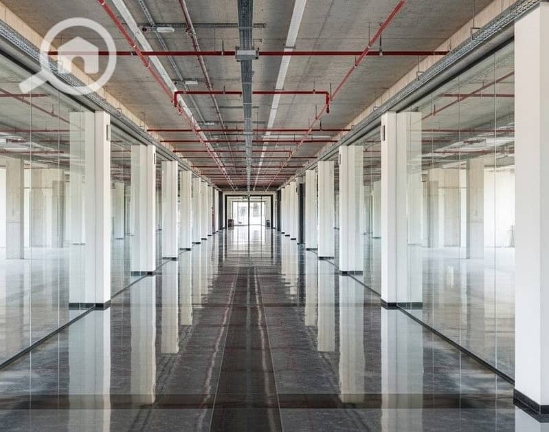 8 Whisk_a5a5108369. jpg