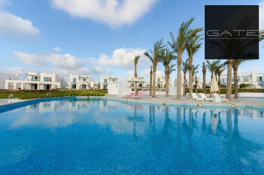 2 296103274_163524552913585_7428840181119093356_n. jpg