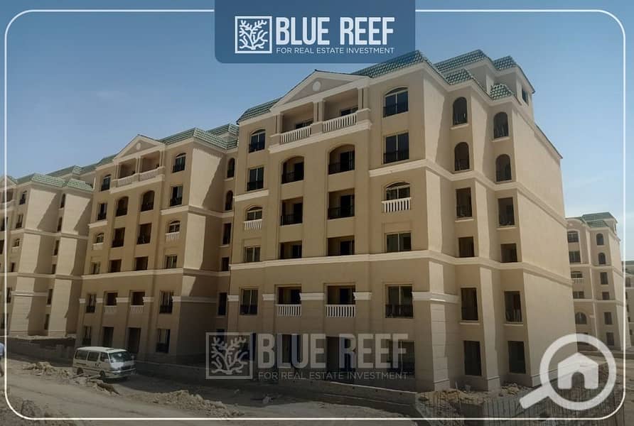 5 WhatsApp Image 2025-09-30 at 7.50. 06 PM (2). jpeg