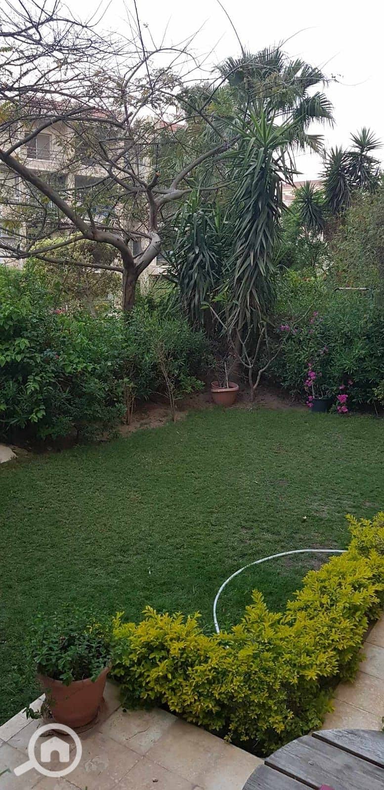 5 dbafc453-b82a-48a9-815c-777fee232aee. jpg