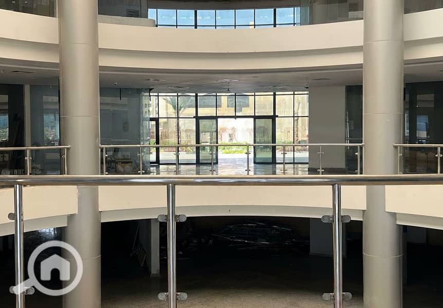 8 Generated Image September 23, 2025 - 1_55PM. png