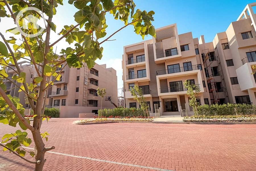 8 WhatsApp Image 2021-03-10 at 10.52. 07 AM. jpeg