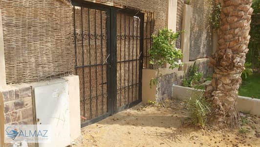 دوبلكس 6 غرف نوم للايجار في القاهرة الجديدة، القاهرة - WhatsApp Image 2025-11-05 at 2.00. 23 PM (1). jpeg