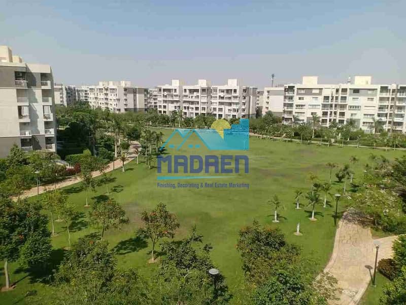 1000365258. jpg 1000365258. jpg