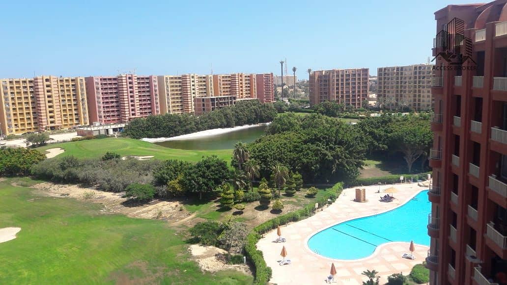 5 WhatsApp Image 2025-07-14 at 04.16. 33_44dc18ae. jpg