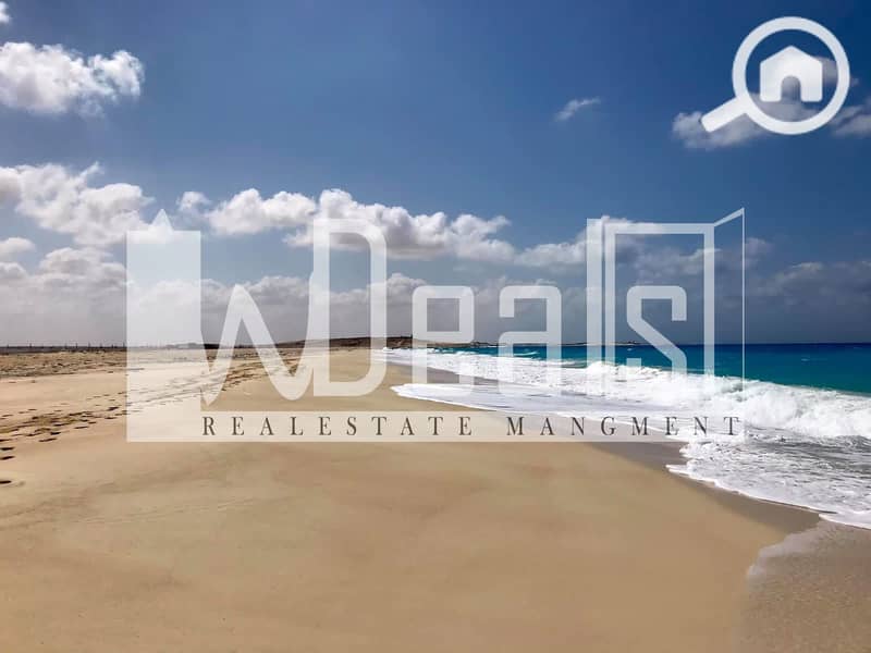 10 WhatsApp-Image-2025-11-05-at-4.04. 17-PM. jpg