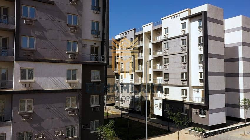 4 2663-photo-16305830006130b8d845818. jpg