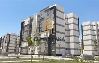 8 elaosboa95734-346x220. png