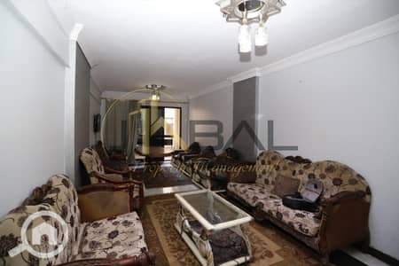 3 Bedroom Flat for Rent in Camp Caesar, Alexandria - WhatsApp Image 2025-11-05 at 4.36. 58 PM (4). jpeg
