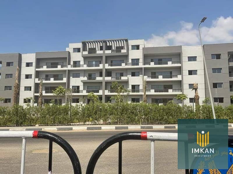 12 387875103_356071653549027_641853382382393556_n. jpg