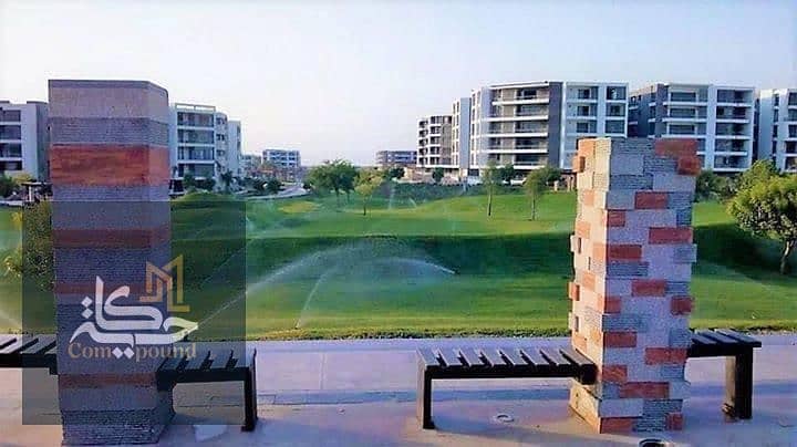 2 WhatsApp Image 2025-07-13 at 15.43. 53_059ea4e8. jpg