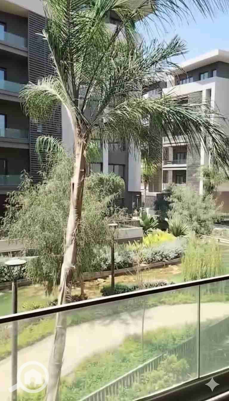 1000032383. jpg 1000032383. jpg