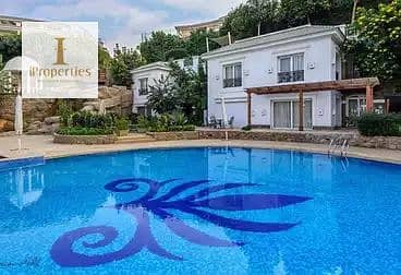 9 67ffd66868256946598209. png