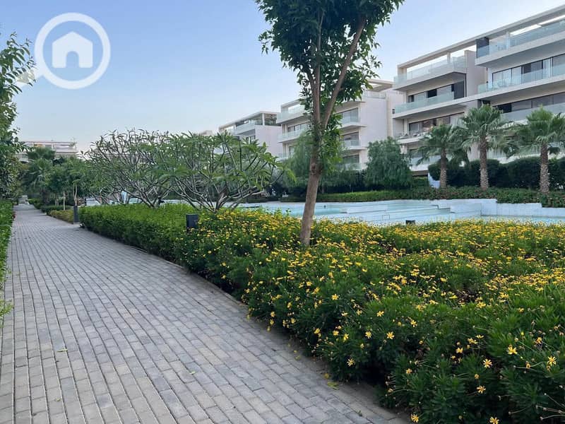 10 c657bf26-dfa9-4a28-b325-8ed0669d87b8. jpg