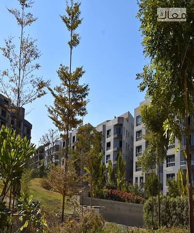 2 Bedroom Flat for Sale in Madinaty, Cairo - DSC_3902. jpg