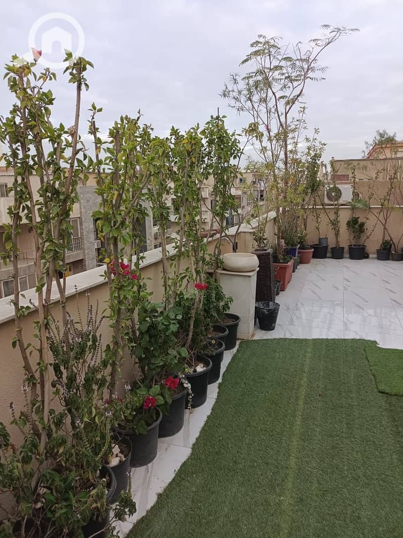 7 IMG-20251104-WA0070. jpg