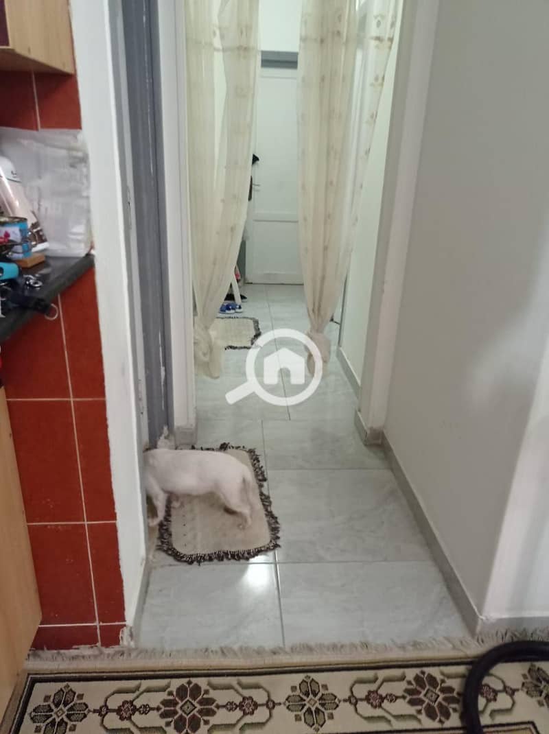 6 1fd71a22-668d-40cc-99eb-8fe62cf801f7. jpeg