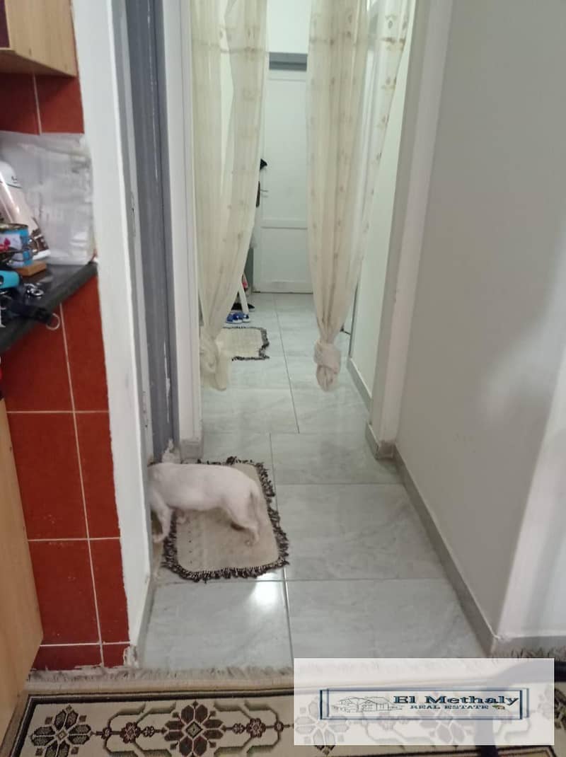 4 WhatsApp Image 2025-11-05 at 5.20. 32 PM. jpeg