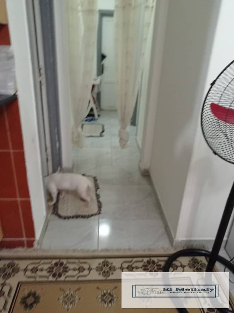 10 WhatsApp Image 2025-11-05 at 5.20. 36 PM. jpeg