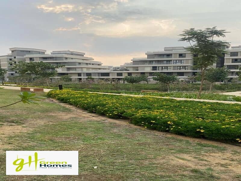 4 WhatsApp Image 2024-07-15 at 1.41. 47 PM. jpeg