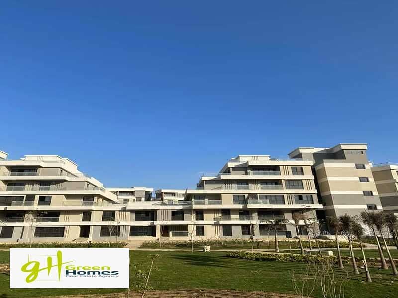 11 WhatsApp Image 2024-07-15 at 1.41. 53 PM. jpeg