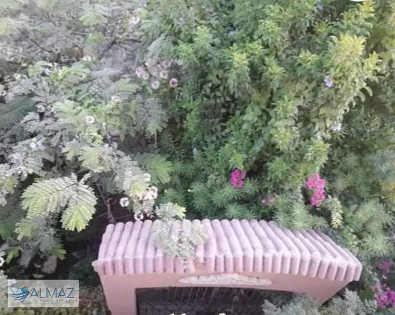 2 WhatsApp Image 2025-11-05 at 4.57. 13 PM. jpeg