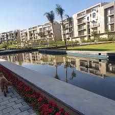 3 download (3). jpeg